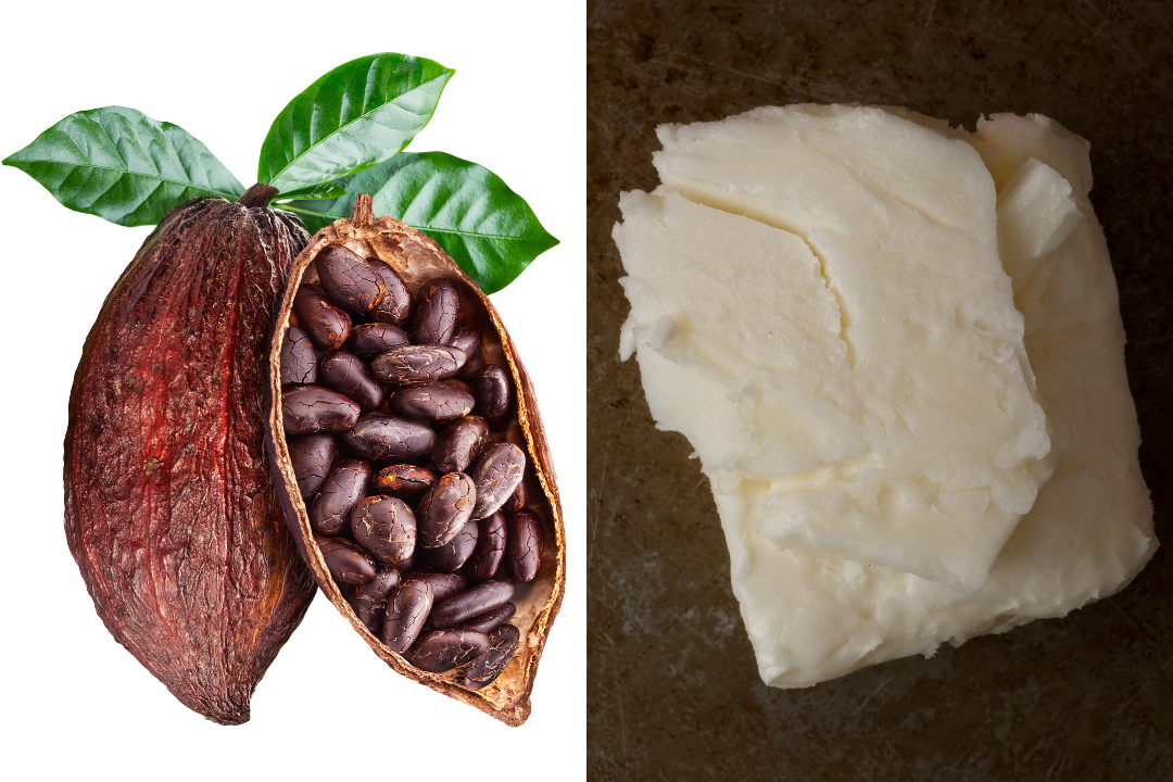 Oh So Vegan vs. So Not Vegan: Two Paths to Skincare Bliss—Which One is for You?